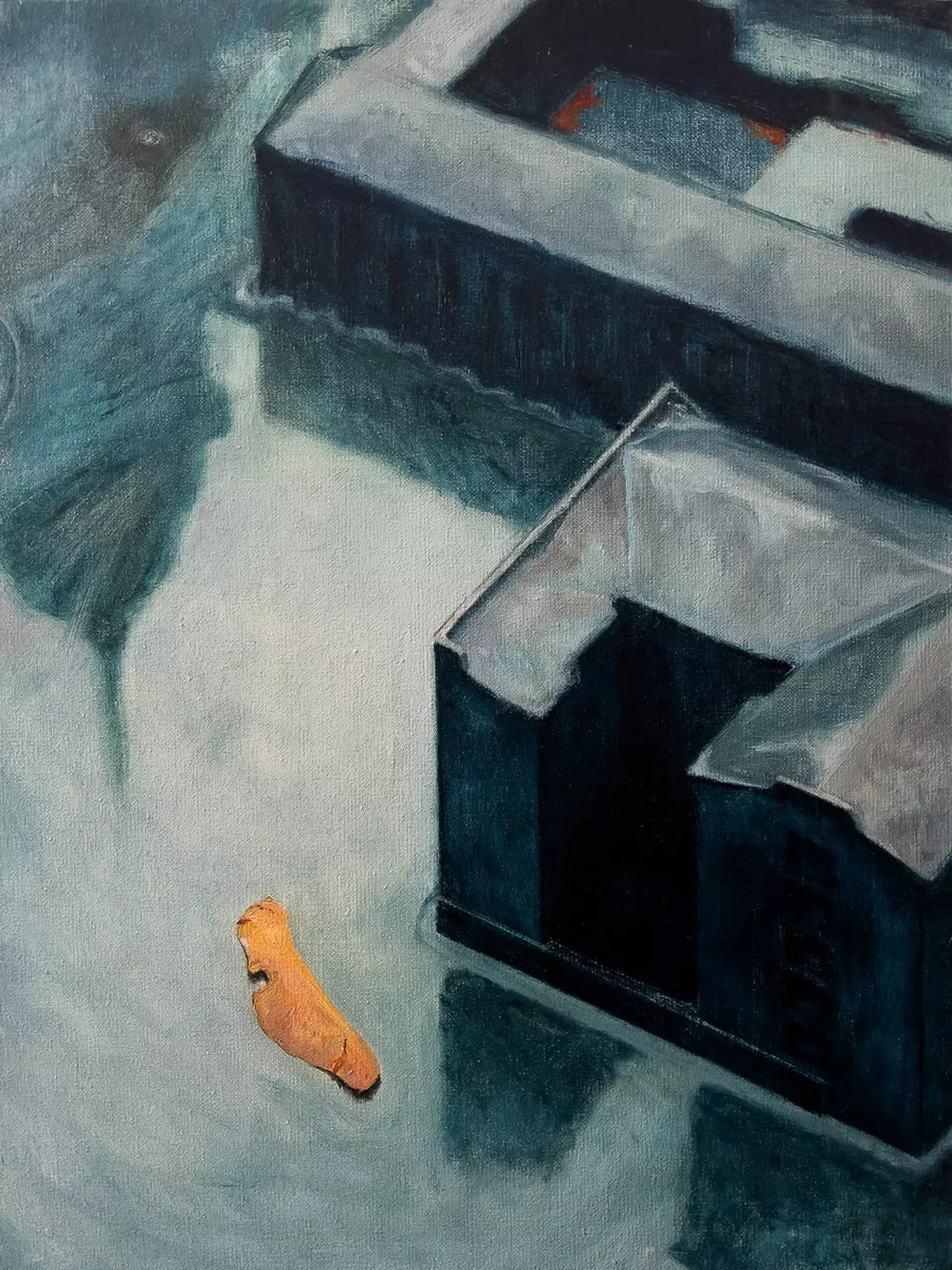 Nosek (Maple Whirlybird)